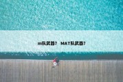 m队武器？ MAT队武器？