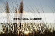 我世界nova玩法，now我的世界