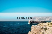 小白卡密，小白卡pass