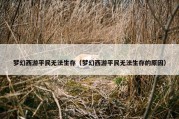 梦幻西游平民无法生存（梦幻西游平民无法生存的原因）