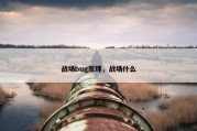 战场bug原理，战场什么
