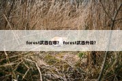 forest武器在哪？ forest武器升级？