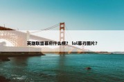 英雄联盟幕府什么梗？ lol幕刃图片？