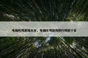 电脑吃鸡游戏大全，电脑吃鸡游戏排行榜前十名