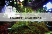 dnf天11黄金套？ dnf天11全职业外观？