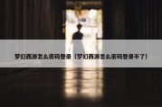 梦幻西游怎么密码登录（梦幻西游怎么密码登录不了）