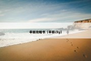 丰田攻略书（丰田chy）