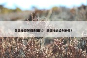 派派技能等级表图片？ 派派技能级别分类？