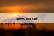 我世界夺，我的世界,世界