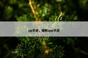 pp手游，催眠app手游