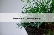 荣耀哪吒星辰？ 哪吒和曜谁厉害？