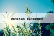 老鼠技能怎么放？ 老鼠技能释放顺序？