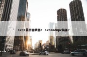 1257最厉害武器？ 1257adnpc装备？