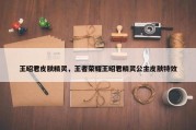 王昭君皮肤精灵，王者荣耀王昭君精灵公主皮肤特效