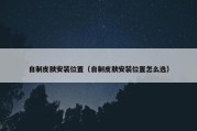 自制皮肤安装位置（自制皮肤安装位置怎么选）