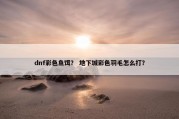 dnf彩色鱼饵？ 地下城彩色羽毛怎么打？