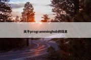 关于programminghub的信息