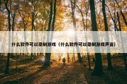 什么软件可以录制游戏（什么软件可以录制游戏声音）