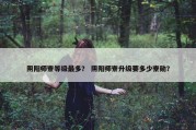 阴阳师寮等级最多？ 阴阳师寮升级要多少寮勋？