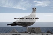 dnf内测包？ dnfm内测下载？