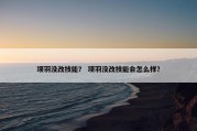 项羽没改技能？ 项羽没改技能会怎么样？