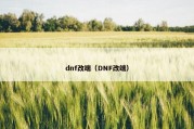 dnf改端（DNF改端）