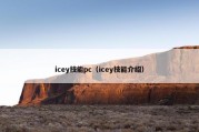 icey技能pc（icey技能介绍）