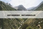 面灵气阴阳师测评？ 面灵气阴阳师怎么样？