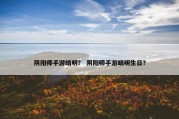 阴阳师手游晴明？ 阴阳师手游晴明生日？