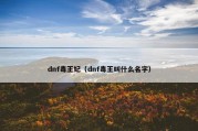 dnf毒王妃（dnf毒王叫什么名字）