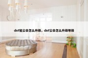 dnf能公会怎么升级，dnf公会怎么升级等级