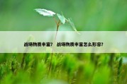 战场物质丰富？ 战场物质丰富怎么形容？