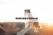阴阳师玩雪童子的简单介绍