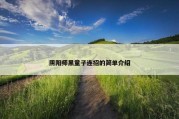 阴阳师黑童子连招的简单介绍
