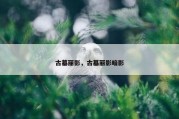 古墓丽影，古墓丽影暗影