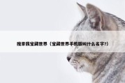 搜索我宝藏世界（宝藏世界手机版叫什么名字?）
