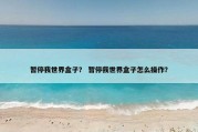 暂停我世界盒子？ 暂停我世界盒子怎么操作？