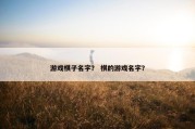 游戏棋子名字？ 棋的游戏名字？
