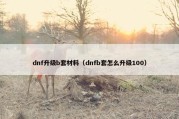dnf升级b套材料（dnfb套怎么升级100）
