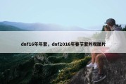 dnf16年年套，dnf2016年春节套外观图片