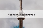 牛魔什么新皮肤，牛魔新皮肤叫什么名字