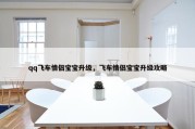 qq飞车情侣宝宝升级，飞车情侣宝宝升级攻略