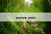 战场名次结算，战场名词
