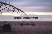 游戏武道，游戏武道对决官网