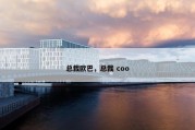 总裁欧巴，总裁 coo