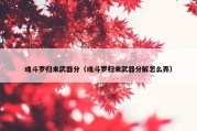 魂斗罗归来武器分（魂斗罗归来武器分解怎么弄）