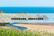 阴阳师原始加载图，阴阳师怎么看原画