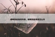 晴明技能如何升级，晴明技能等级怎么升