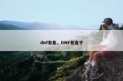 dnf包盒，DNF包盒子