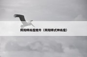 阴阳师练度提升（阴阳师式神练度）